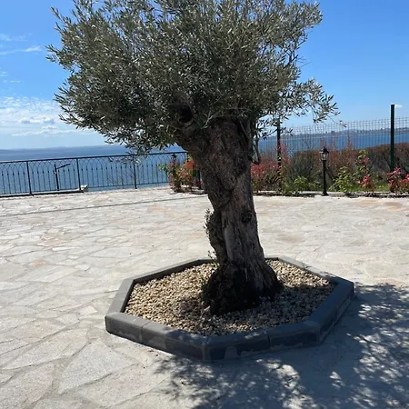 Lion1, Schwarzmeertraum, Stilvoll, 7 Minuten Zum Strand, Wlan Gratis Apartment