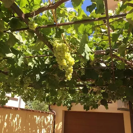 Apartment Lion1, Schwarzmeertraum, Stilvoll, 7 Minuten Zum Strand, Wlan Gratis Burgas